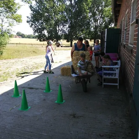 Lupine - Ferienhof Friedrichshtal Gremersdorf